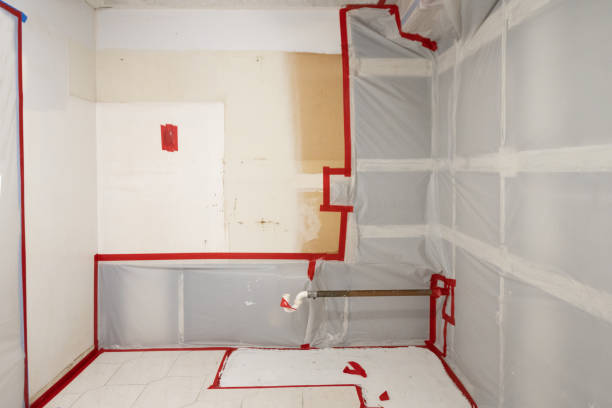 Trusted Reidland, KY Mold Removal Experts