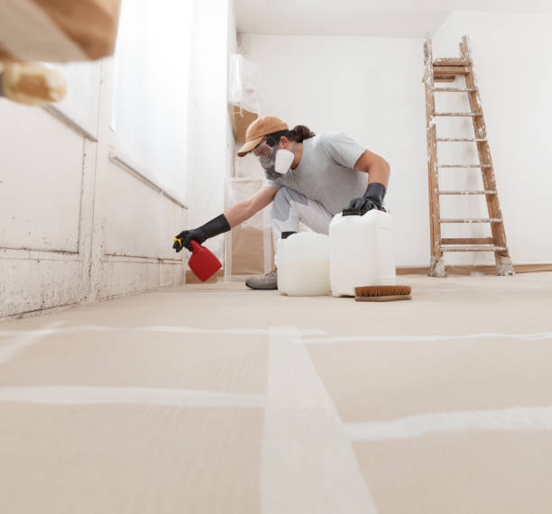 Mold Remediation for Vacation Homes in Reidland, KY