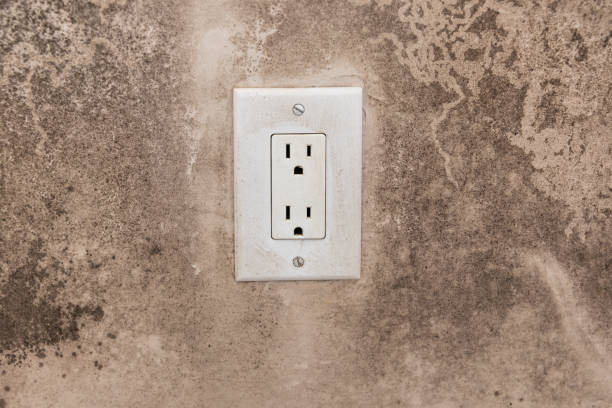 Mold Remediation for Rental Properties in Reidland, KY